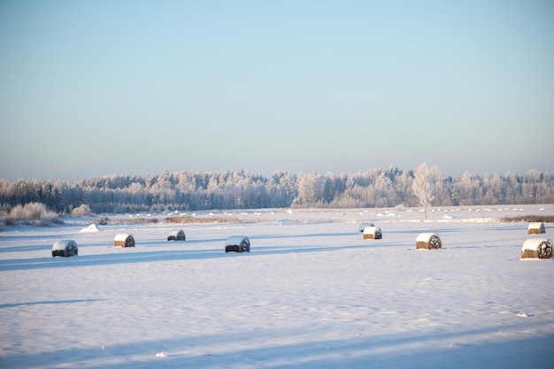 Snow covered hay bales in field with snowy forest and a trees in the background white winter day