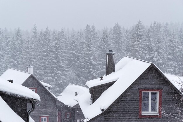 Photo snow covered house roofs and trees