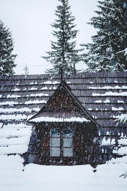 空に向かって雪に覆われた家と木々