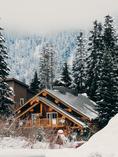 Case e alberi coperti di neve contro il cielo