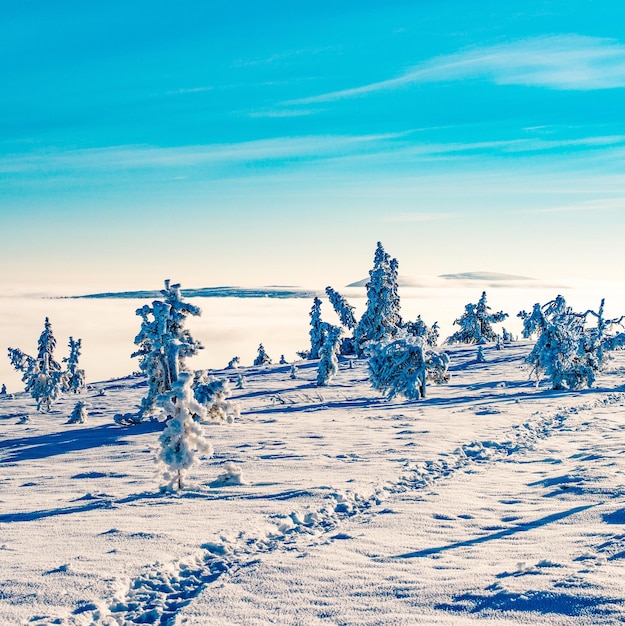 Snow covered land against blue sky