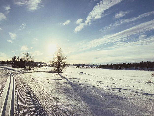 Snow covered land against sky