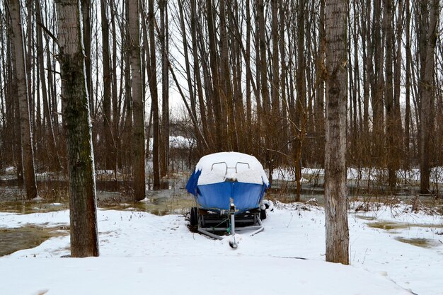 写真 雪で覆われた土地と森の木