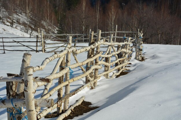 写真 冬の間野原の雪に覆われた土地と木々