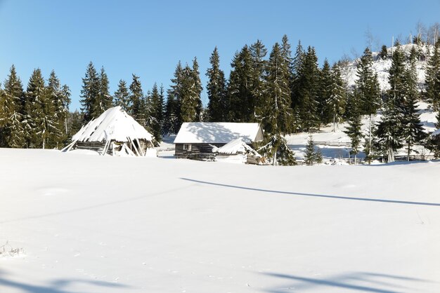 Snow covered land and trees against sky