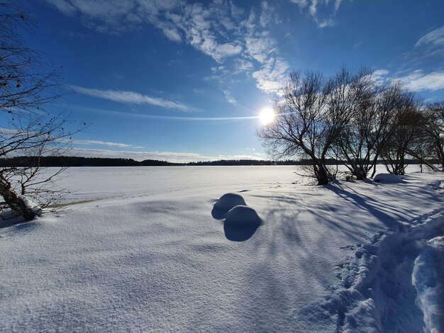 Snow covered land and trees against sky