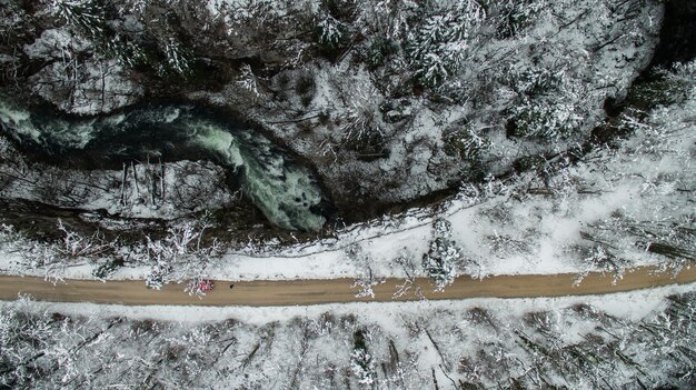 Foto terra e alberi coperti di neve