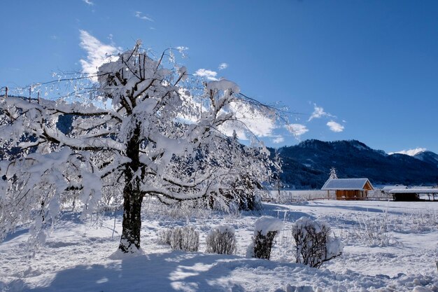 Snow covered landscape against blue sky