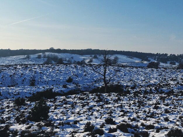 Snow covered landscape against blue sky