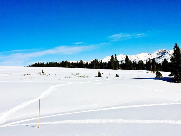 Snow covered landscape against blue sky