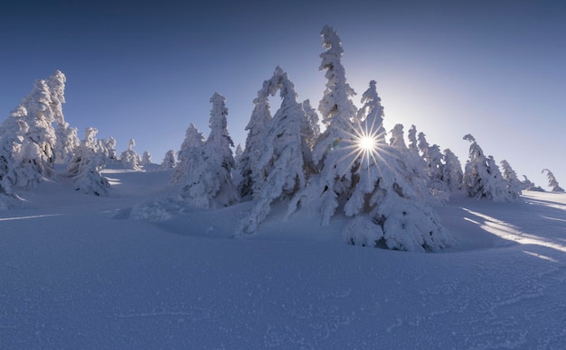 Foto paesaggio coperto di neve contro un cielo blu limpido