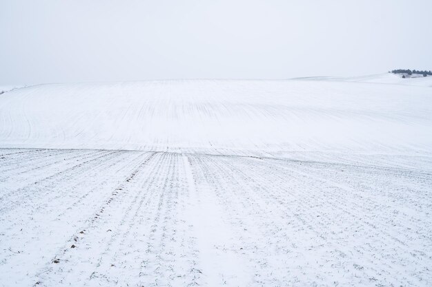 Photo snow covered landscape against clear sky