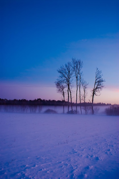 Snow covered landscape against sky during sunset