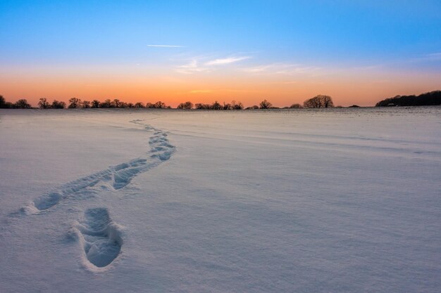 写真 夕暮れの空を背景に雪に覆われた風景