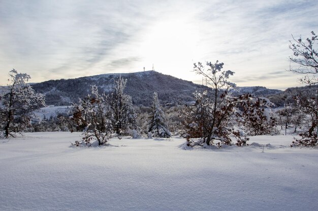 Foto paesaggio coperto di neve contro il cielo