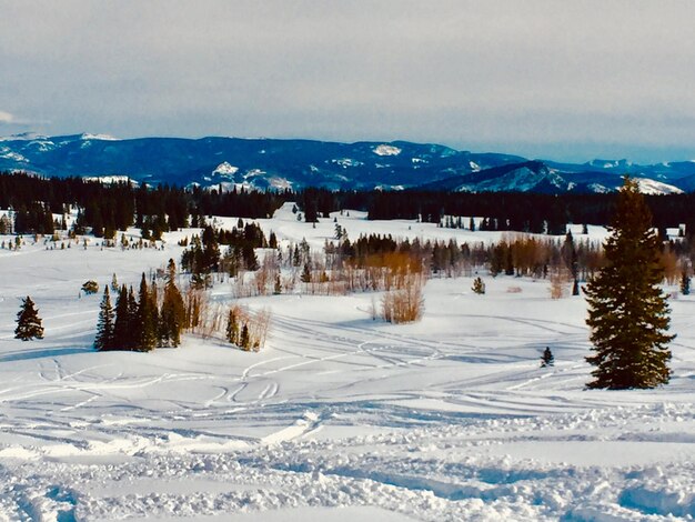 Snow covered landscape against sky