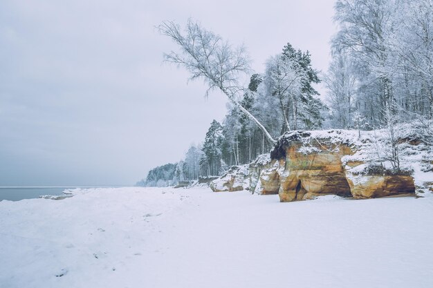 Snow covered landscape against sky