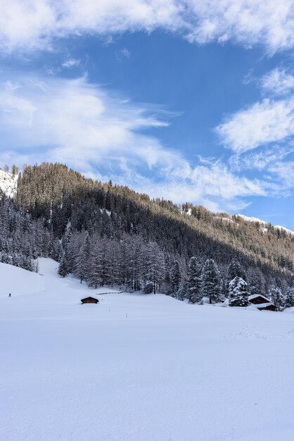 写真 空に照らされた雪に覆われた風景