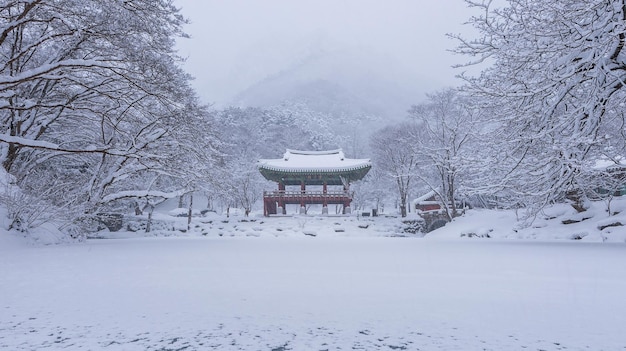 Snow covered landscape against sky