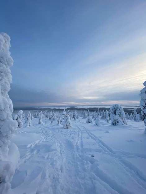 写真 空に照らされた雪に覆われた風景