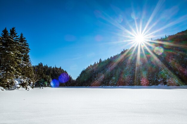 Snow covered landscape against sky