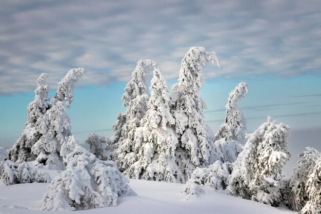 Snow covered landscape against sky