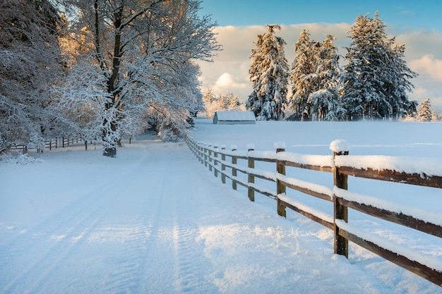 Photo snow covered landscape against sky