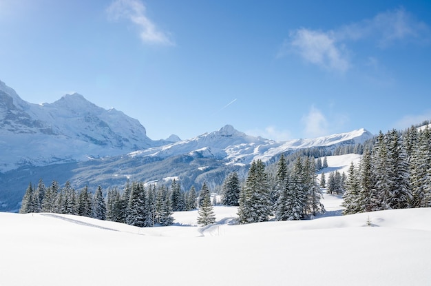 空に照らされた雪に覆われた風景