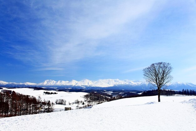 空に照らされた雪に覆われた風景