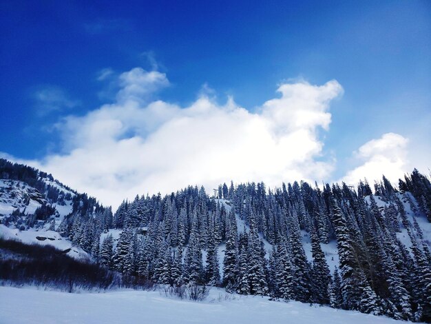 Snow covered landscape against sky