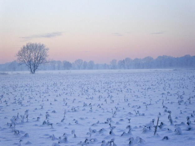 Snow covered landscape during sunset