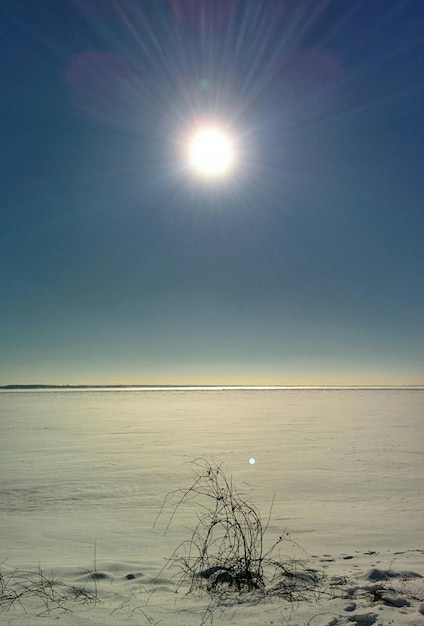 Foto paesaggio coperto di neve in una giornata di sole