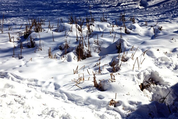 Snow covered landscape