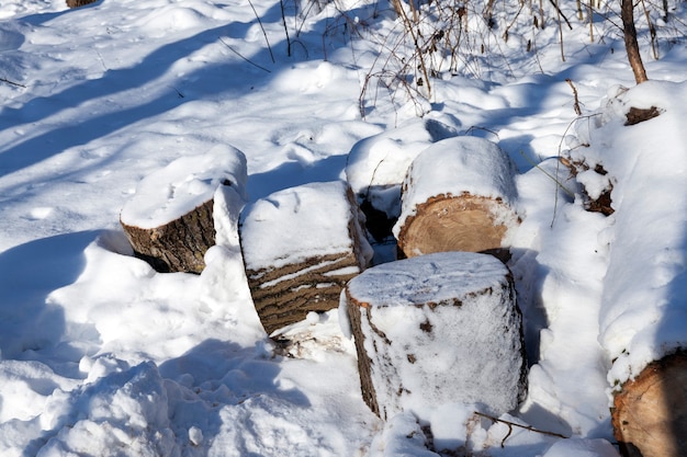 Snow covered logs for lighting