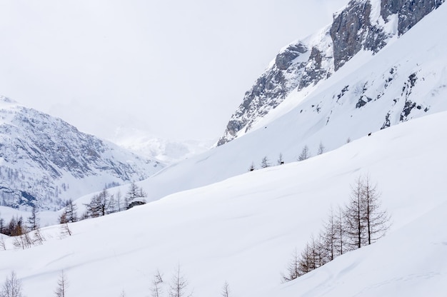 Foto montagna coperta di neve contro il cielo