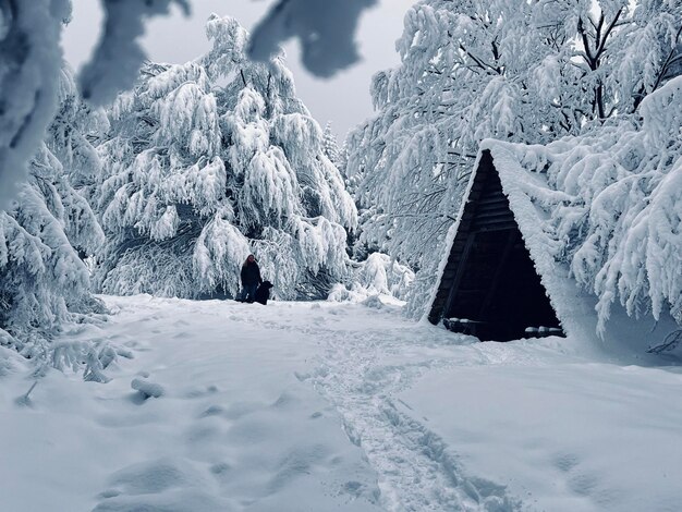 Snow covered mountain against sky