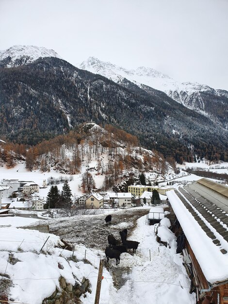 Foto montagna coperta di neve contro il cielo