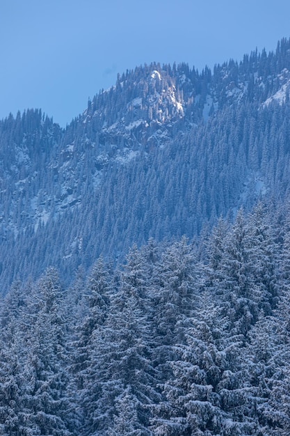 Photo snow covered mountain