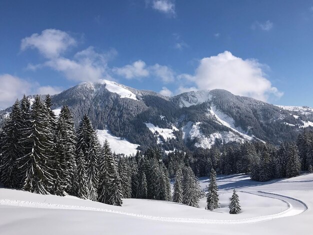 Snow covered mountains against sky