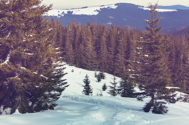 Snow covered mountains in winter