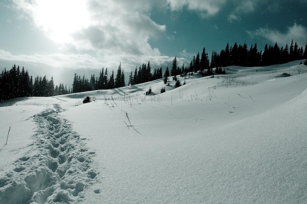 Snow covered mountains in winter