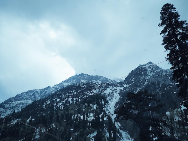 Snow covered mountains with pine trees