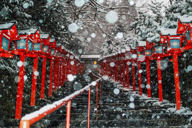 Photo snow covered railing against trees during winter