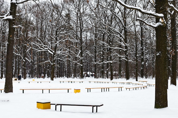 Snow covered recreation area in urban park