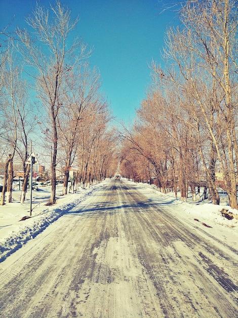 澄んだ青い空に照らされた雪に覆われた道路