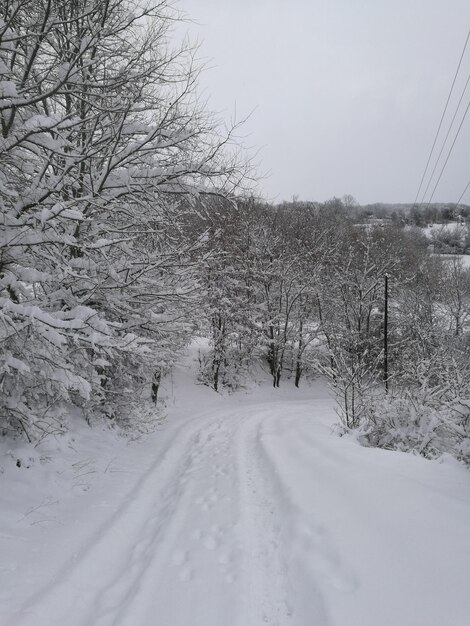 空に照らされた雪に覆われた道路