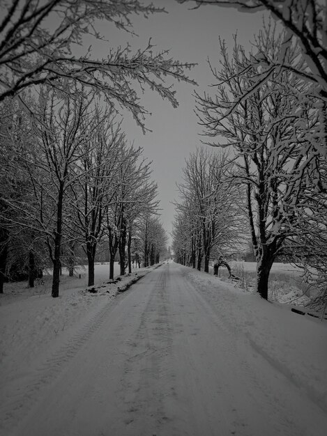 Snow covered road amidst bare trees against sky