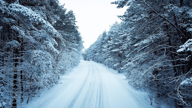 Snow covered road amidst trees against clear sky