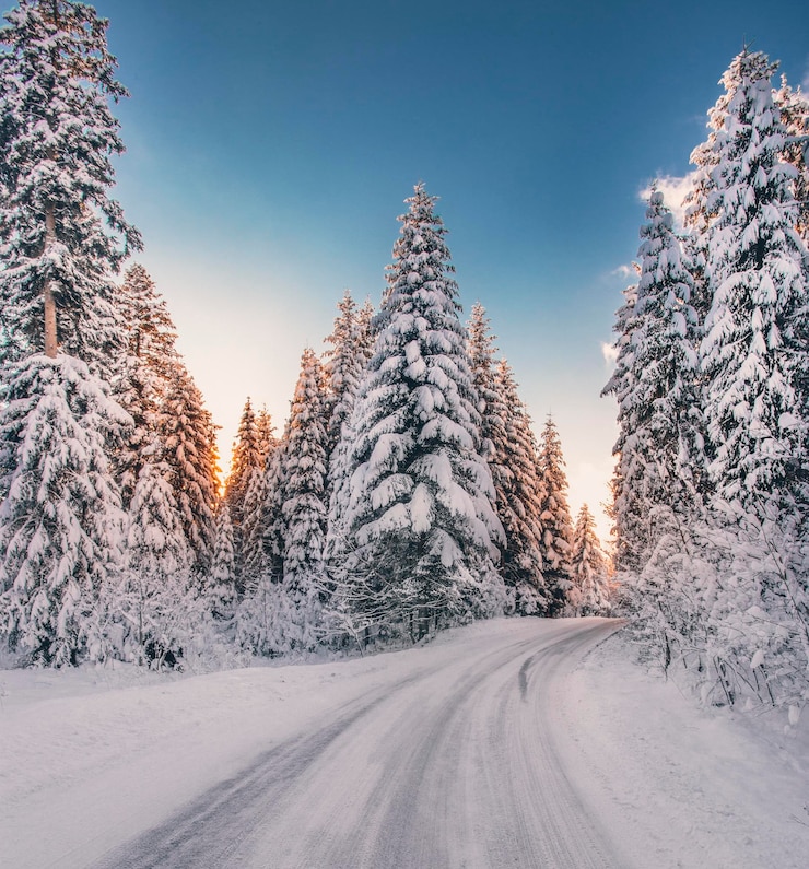 Photo snow covered road amidst trees against sky
