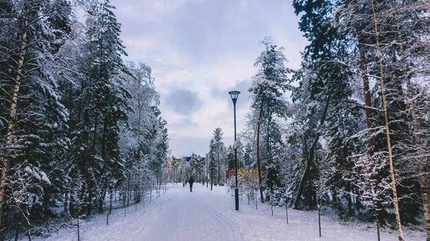 Snow covered road amidst trees against sky